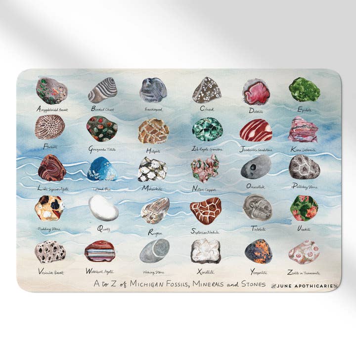 A til Z Michigan Fossiler og Sten Maskinvaskbar Gulvmåtte for engroshandel hos June Apothicarie