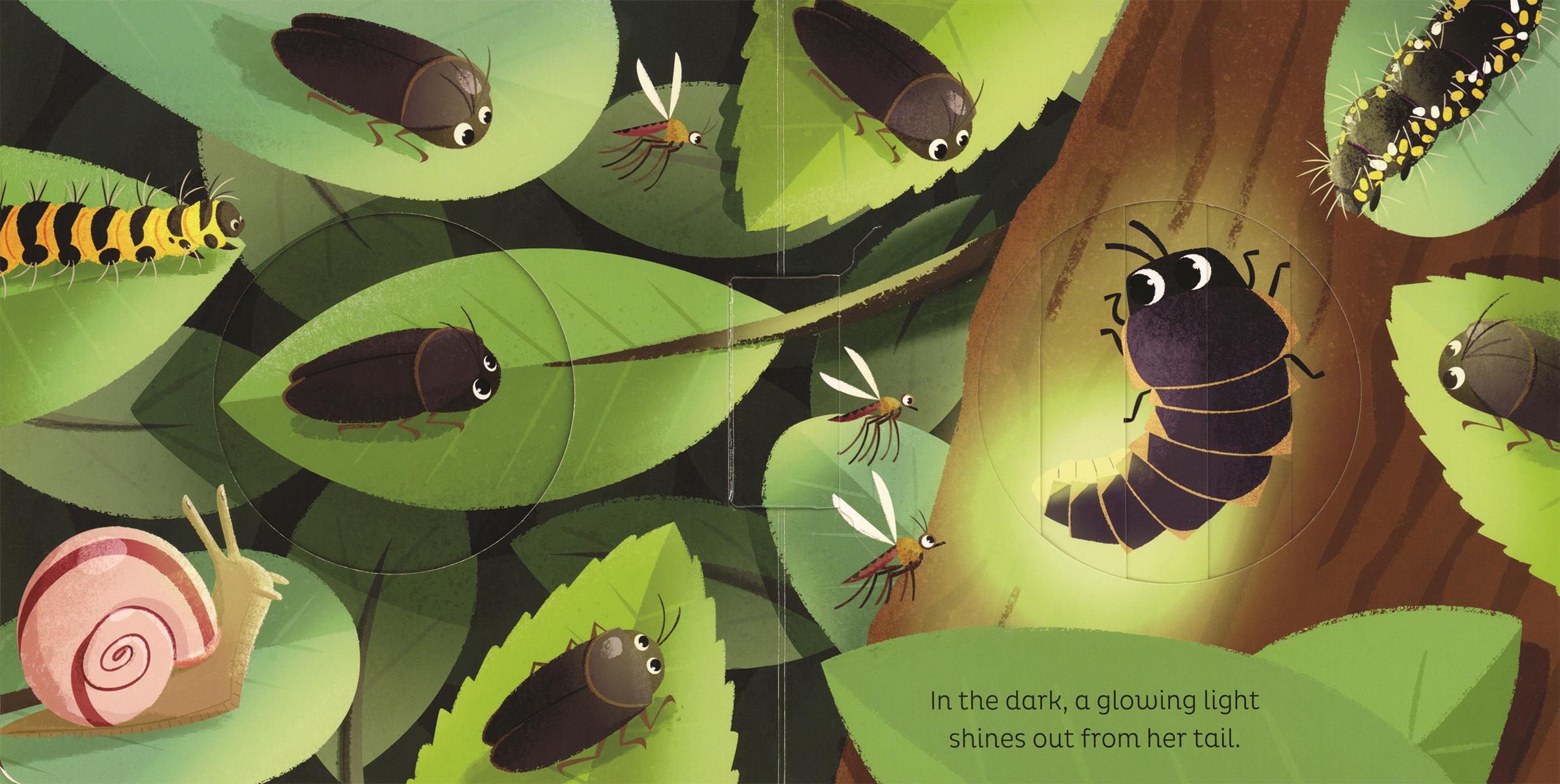 EDC Publishing - Wholesale Preschool Book (3-5) - Animal Magic: In the Night2