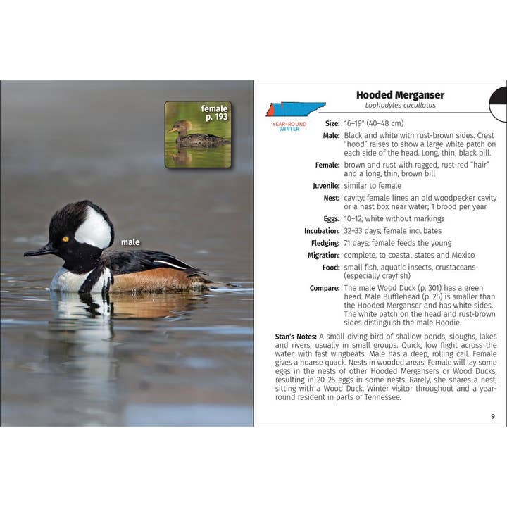 AdventureKEEN - Wholesale Nature Guide - Birds of Tennessee Field Guide 2e