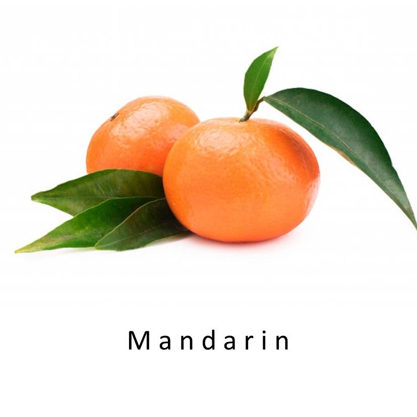 SCENTERPRISES INC – wholesale Parfymer/Eau de Toilette – Breezy Ozonisk parfym11