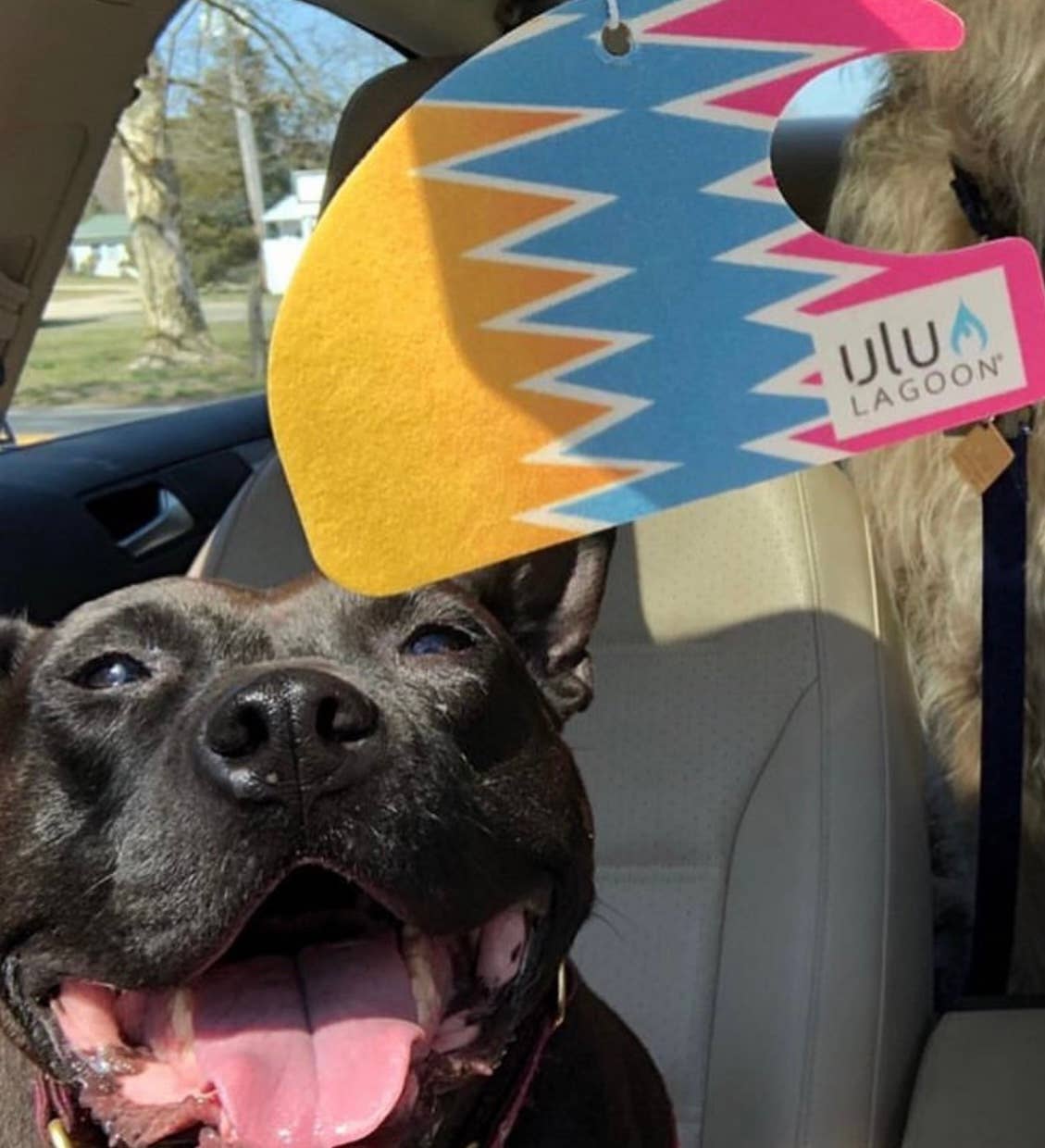 ulu LAGOON - Wholesale Air Freshener - 80's Mini Wave Air Freshener2