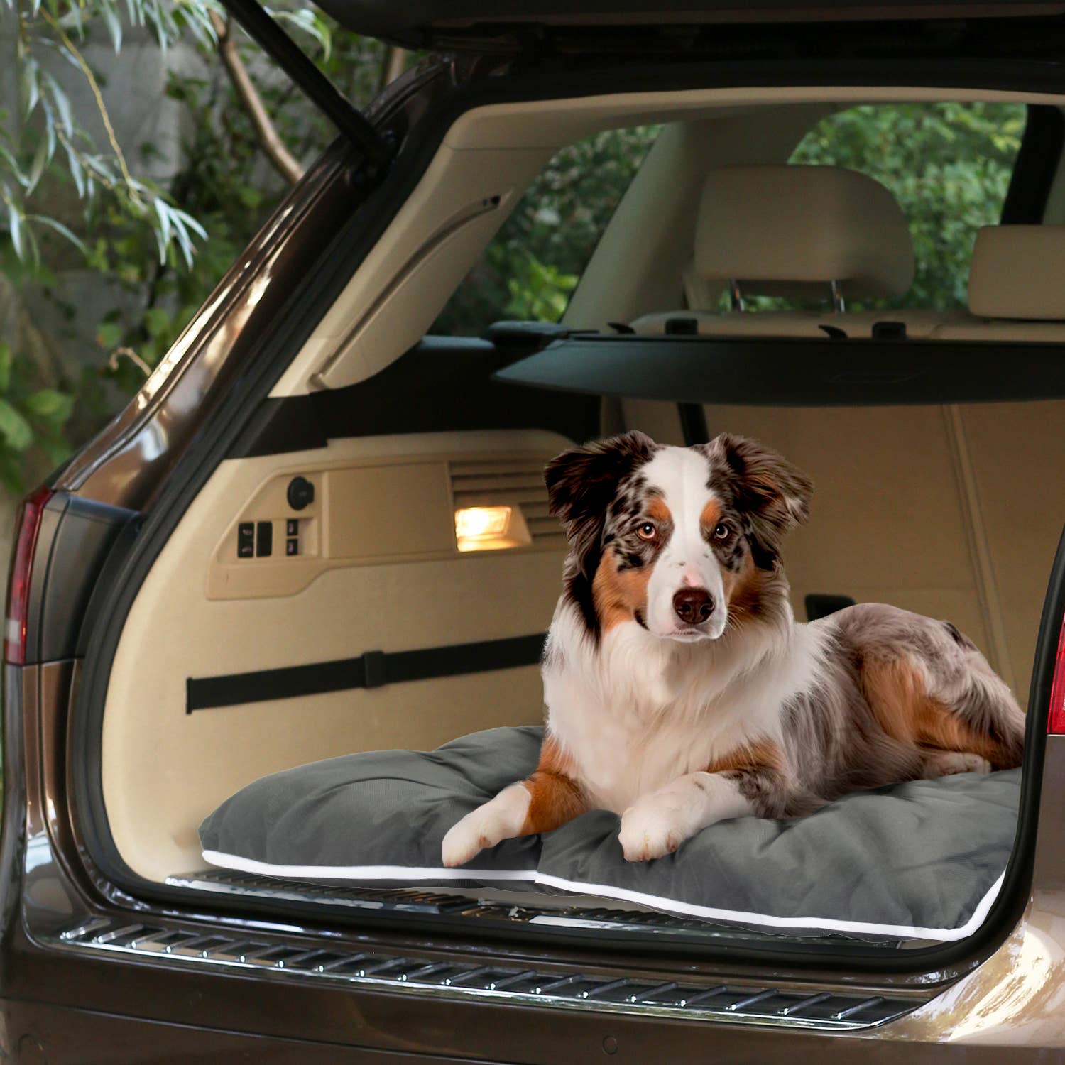 Precious Tails - Vente Panier – chien - Lit pour animal domestique Precious Tails « Go Anywhere » résistant à l'eau et aux mastications34