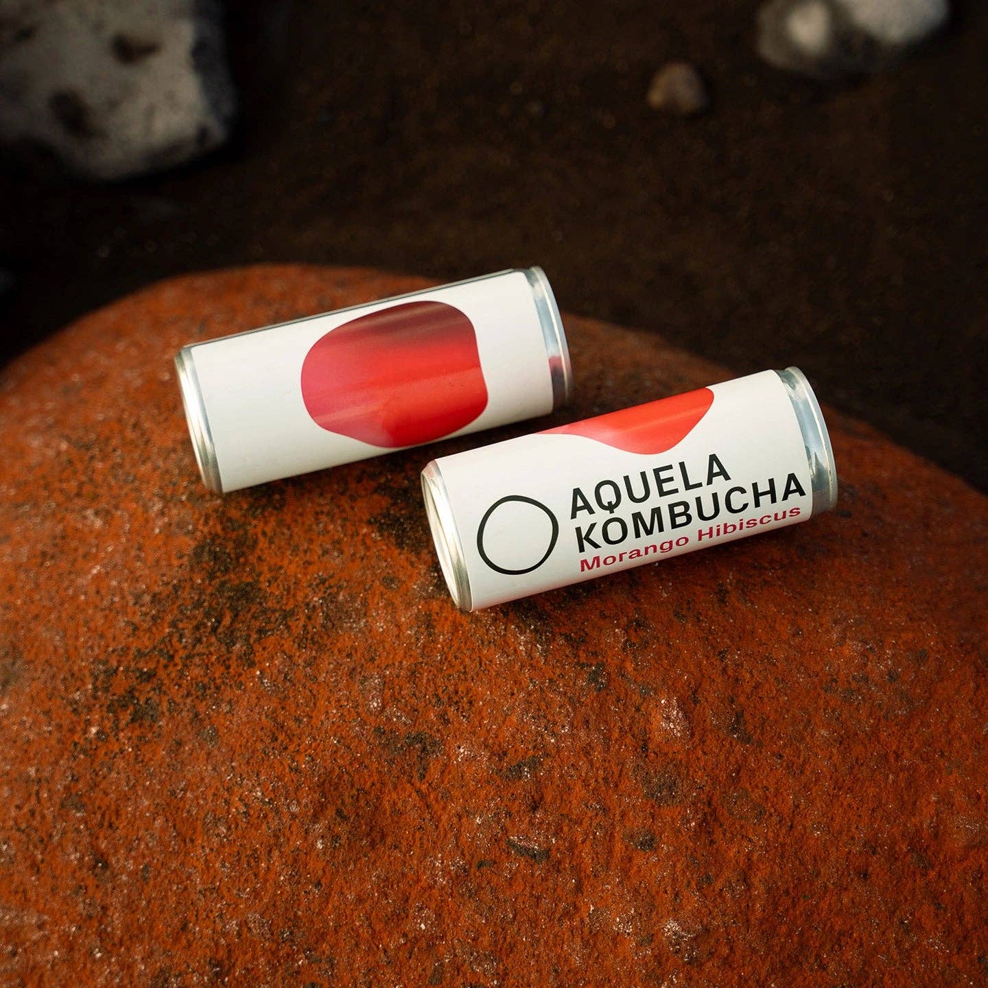 Geocakes - Wholesale Kombucha - That Organic Strawberry Hibiscus Kombucha - 250ml Can2