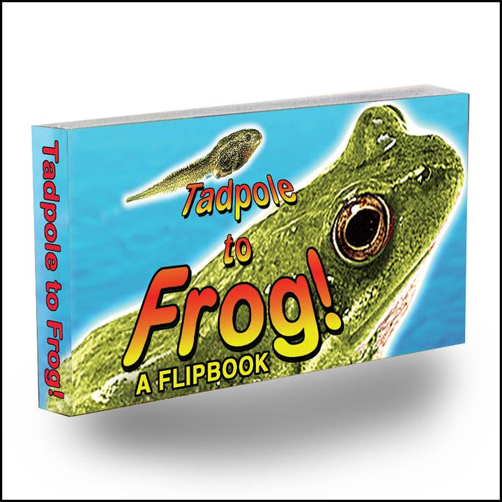 Tadpole to Frog Flipbook for wholesale by Fliptomania
