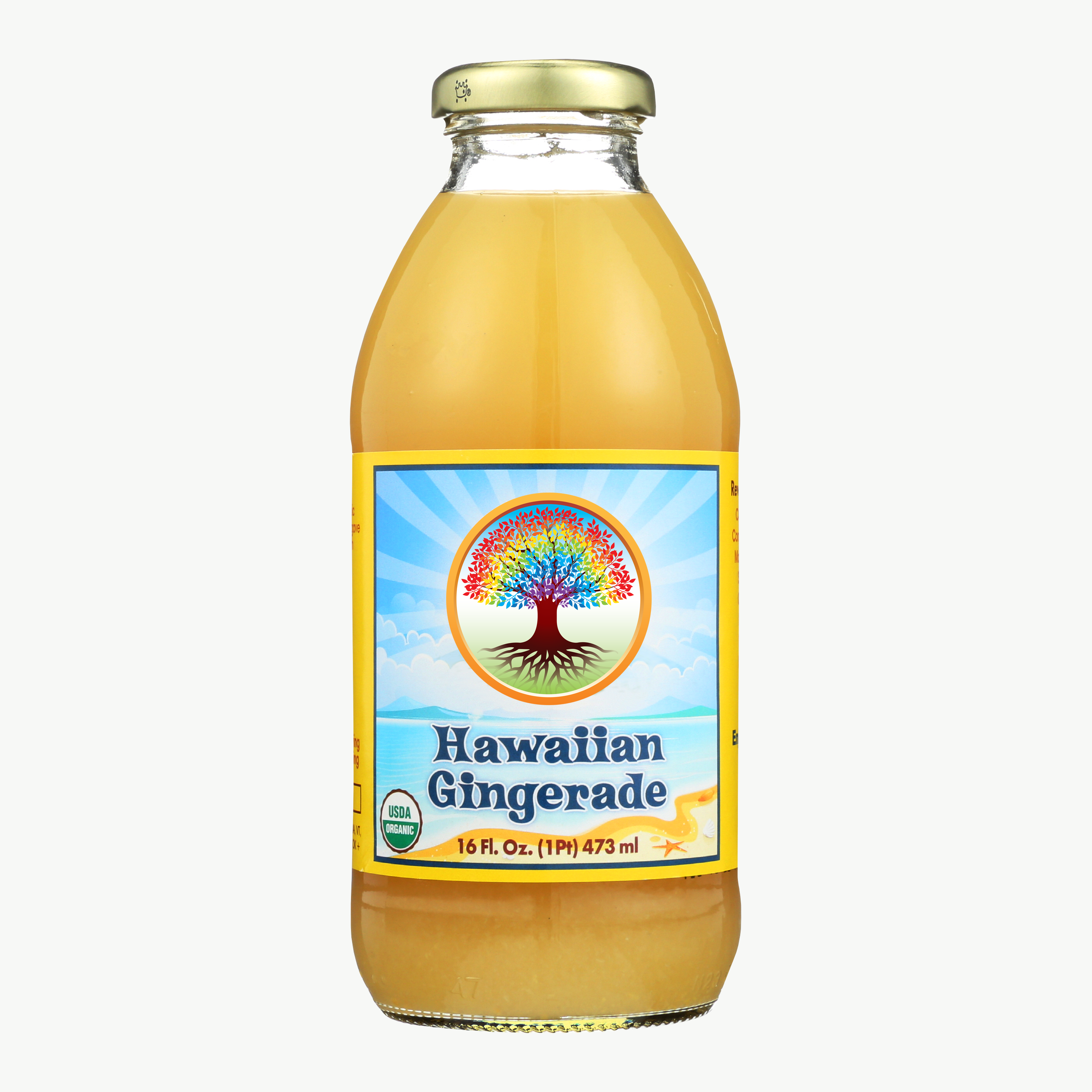 Big Island Organics - Wholesale Soda/Carbonated Drink - Hawaiian Gingerade - 16oz 10-pack1