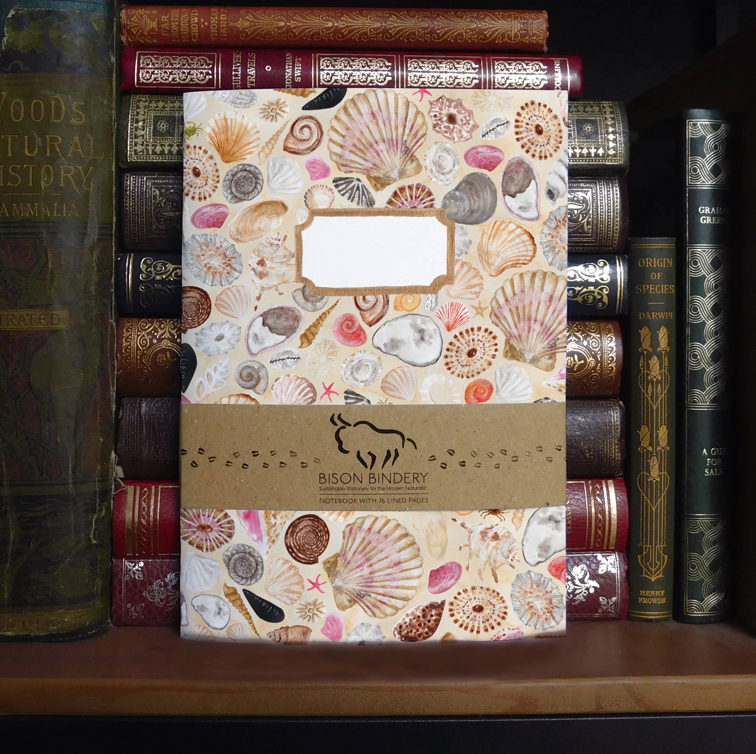 Bison Bindery - Wholesale Journal/Diary - Conchae Sea Shell A5 Recycled Notebook - 76 Lined Pages0