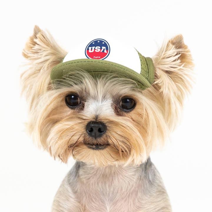 PupLid – wholesale Hatt - Hund – USA Stars Design l Truckerhatt för hundar26