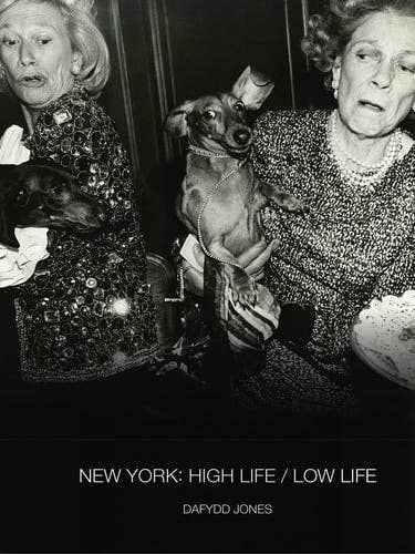 New York: High Life / Low Life (shelf worn) by Jones | Dafydd for wholesale by Boon Books