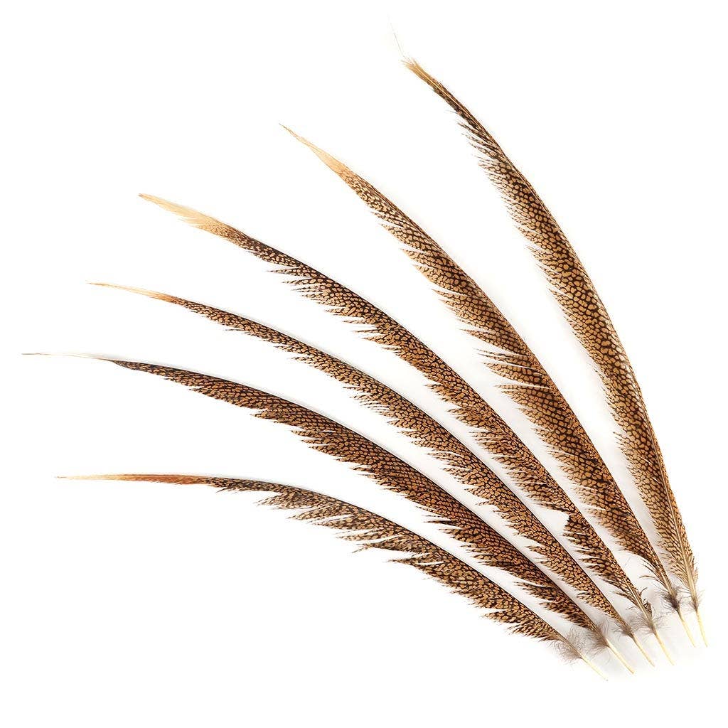 Zucker Feather Products - Wholesale Knutselbenodigdheden - 1 stuk natuurlijke gouden fazantenstaartveren van 51-76 cm2