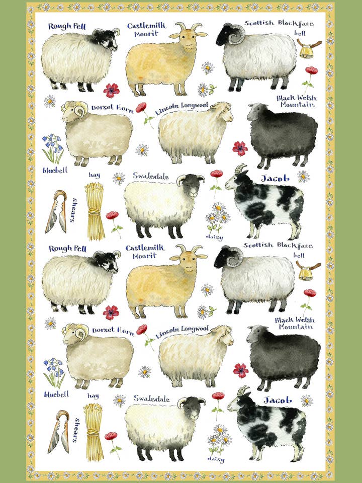 Sheep Breeds Cotton Tea Towel for wholesale by Samuel Lamont and Sons