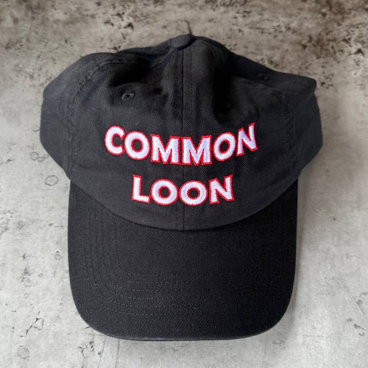 Svartnäbbad islom pappa hatt basebollkeps fågel fågelskådare museum natur för wholesale av The Silver Spider