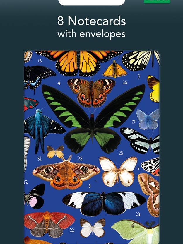 SOCIAL STATIONERY PACK OF 8 BUTTERFLIES M&G for wholesale by Notes & Queries, Inc.