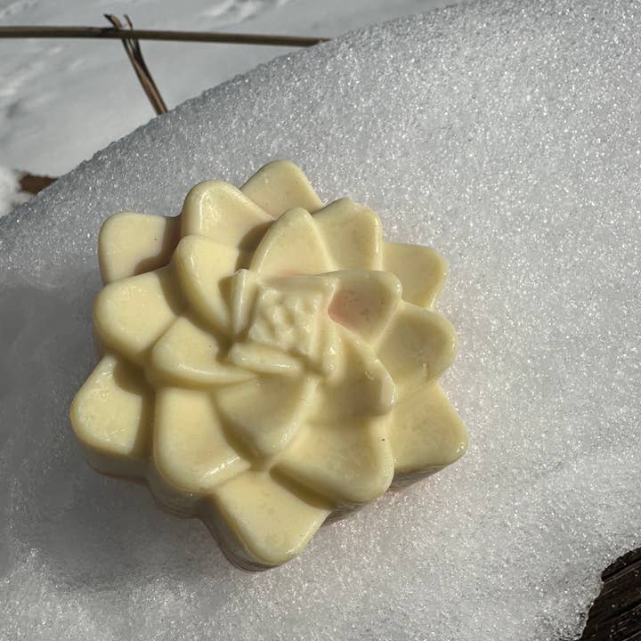 AVIVA TU LLC - Wholesale Bar Soap - Luffa Soap (Kaolin/French Pink Clay)4