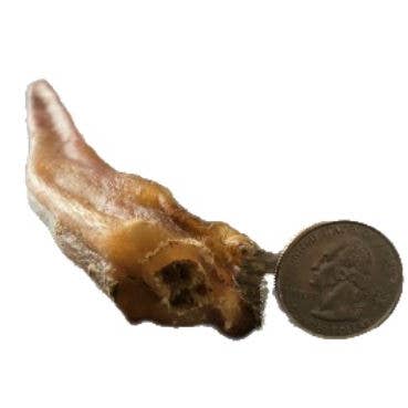 Willy's Wags Natural Pet Treats - Wholesale Pet Treats - Dog - Bully Stick 12 Inch Jumbo