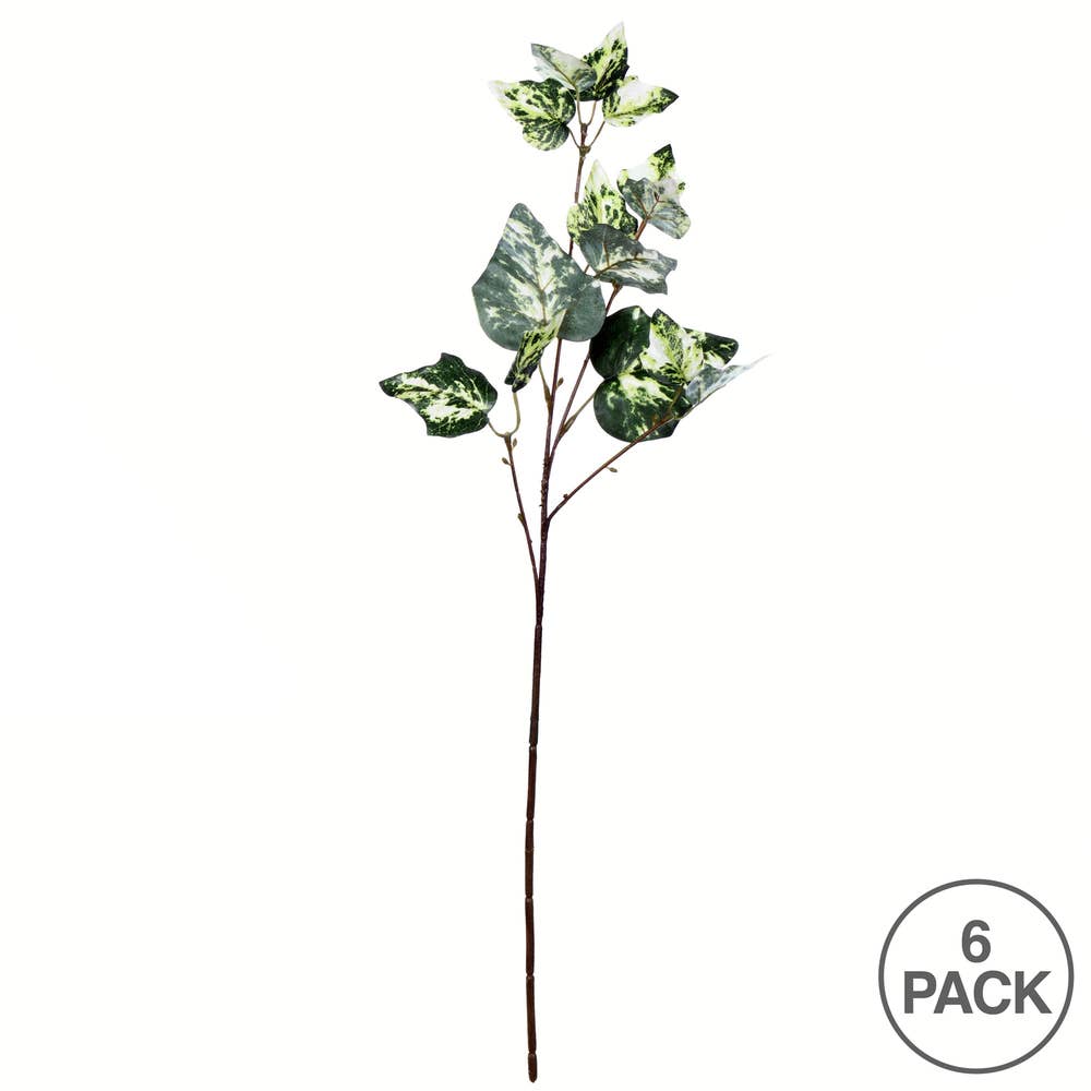 Vickerman 24" Green Variegated Ivy Spray 6 Pack for wholesale on Faire3