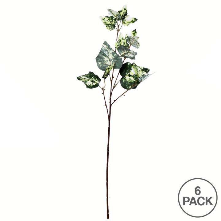 Vickerman 24" Green Variegated Ivy Spray 6 Pack for wholesale on Faire3