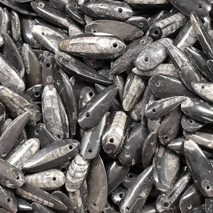 La Boîte à Cailloux - Wholesale Pendant/Charm Necklace - Orthoceras pendant Morocco A + cord1