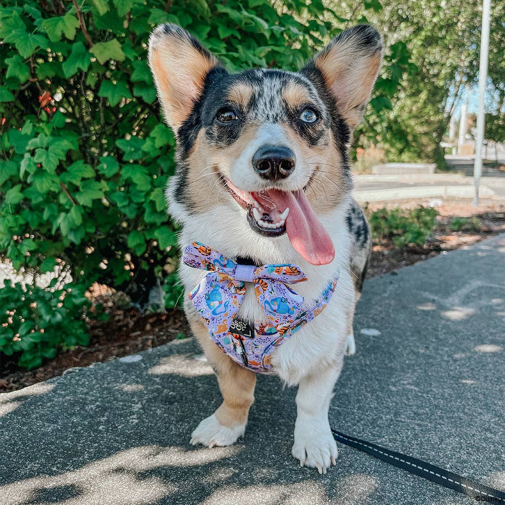 SASSY WOOF - Wholesale Pet Harness - Dog - Dog Adjustable Harness - Disney's Jasmine5