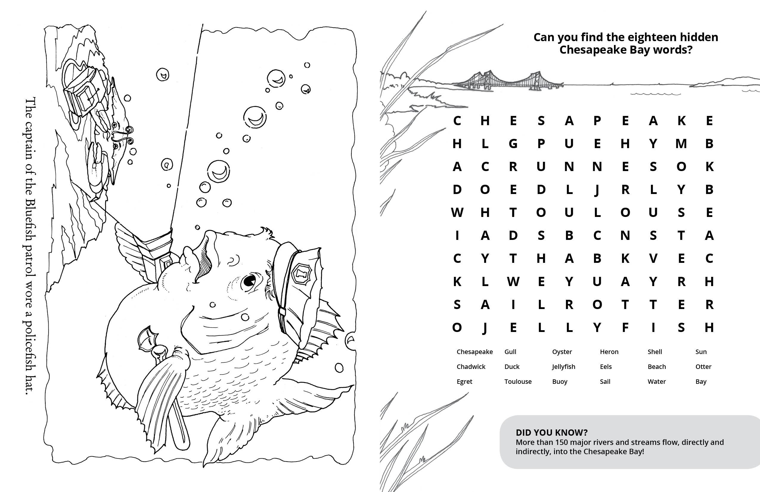 Schiffer Kids - Wholesale Coloring & Activity Book - Kids & Baby - Chadwick Activity Book2