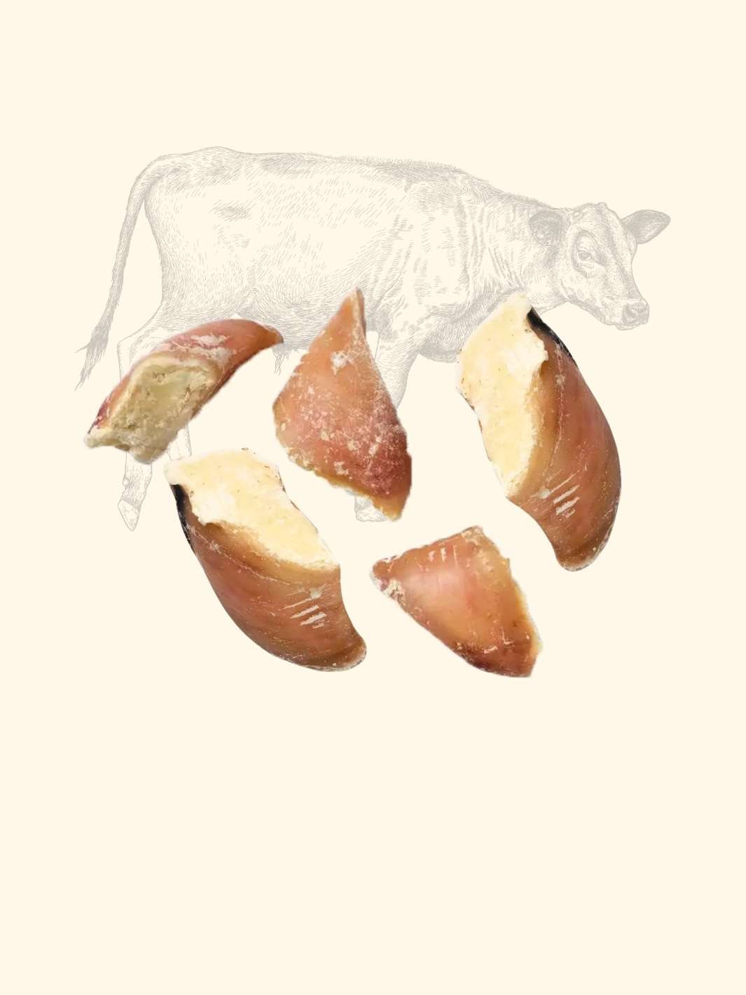 Truffe Délice – wholesale Pet treats – Dog – Garnished veal shank6