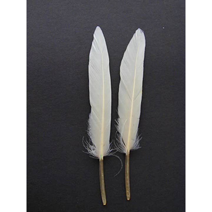 Zucker Feather Products - Wholesale Craft Supplies - Loose Duck Cosse Dyed Feathers 3-4" - White