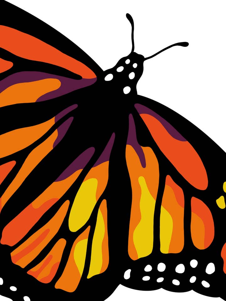 Monarch Butterfly Paint-By-Number for wholesale by Fundenberger Studio