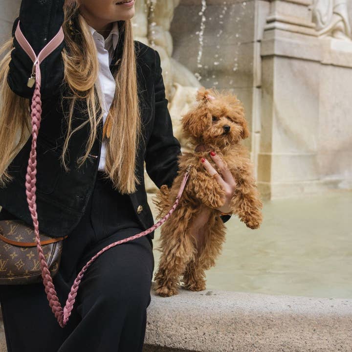Geflochtene Hundeleine - Blütenblatt für den Großhandel von Minla