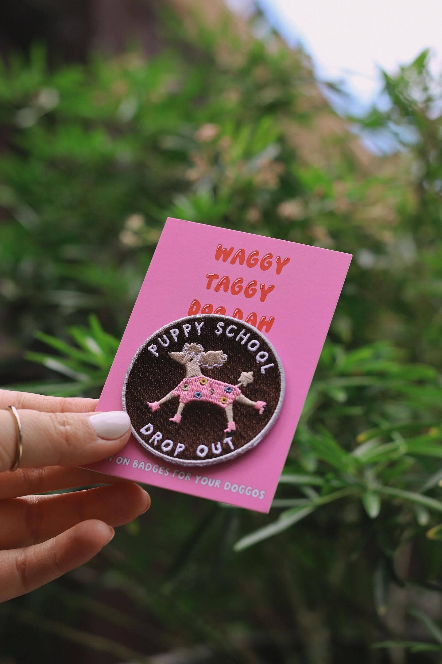 Apex Pet Products (Meaty Bubbles) - Vendita all'ingrosso Bandana - Cani - Toppa termoadesiva ricamata Puppy School per bandane per cani (Co