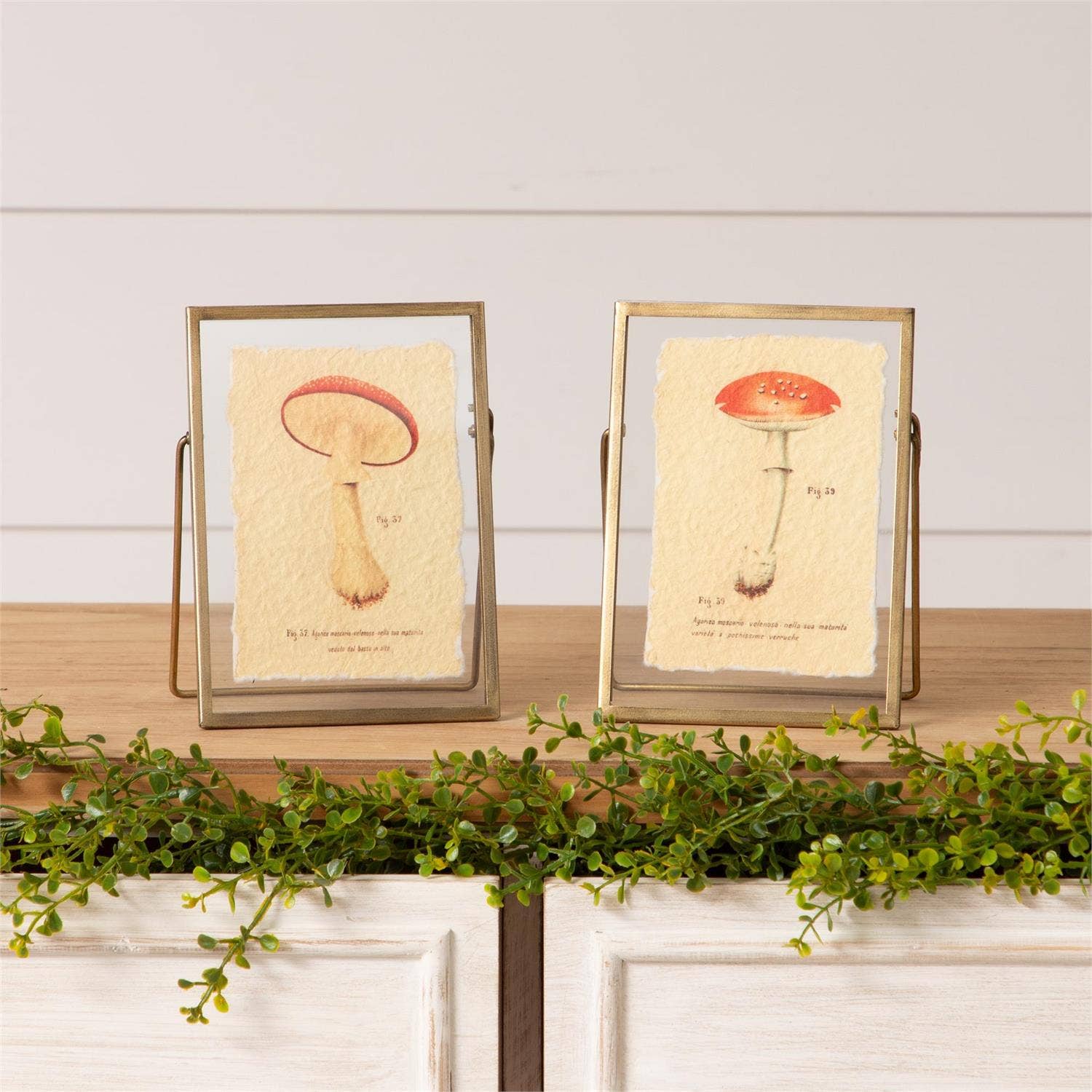 Audrey's Home & Gift – wholesale Picture frame – Gold Frames - Mushrooms (Pk/02 Ast)0