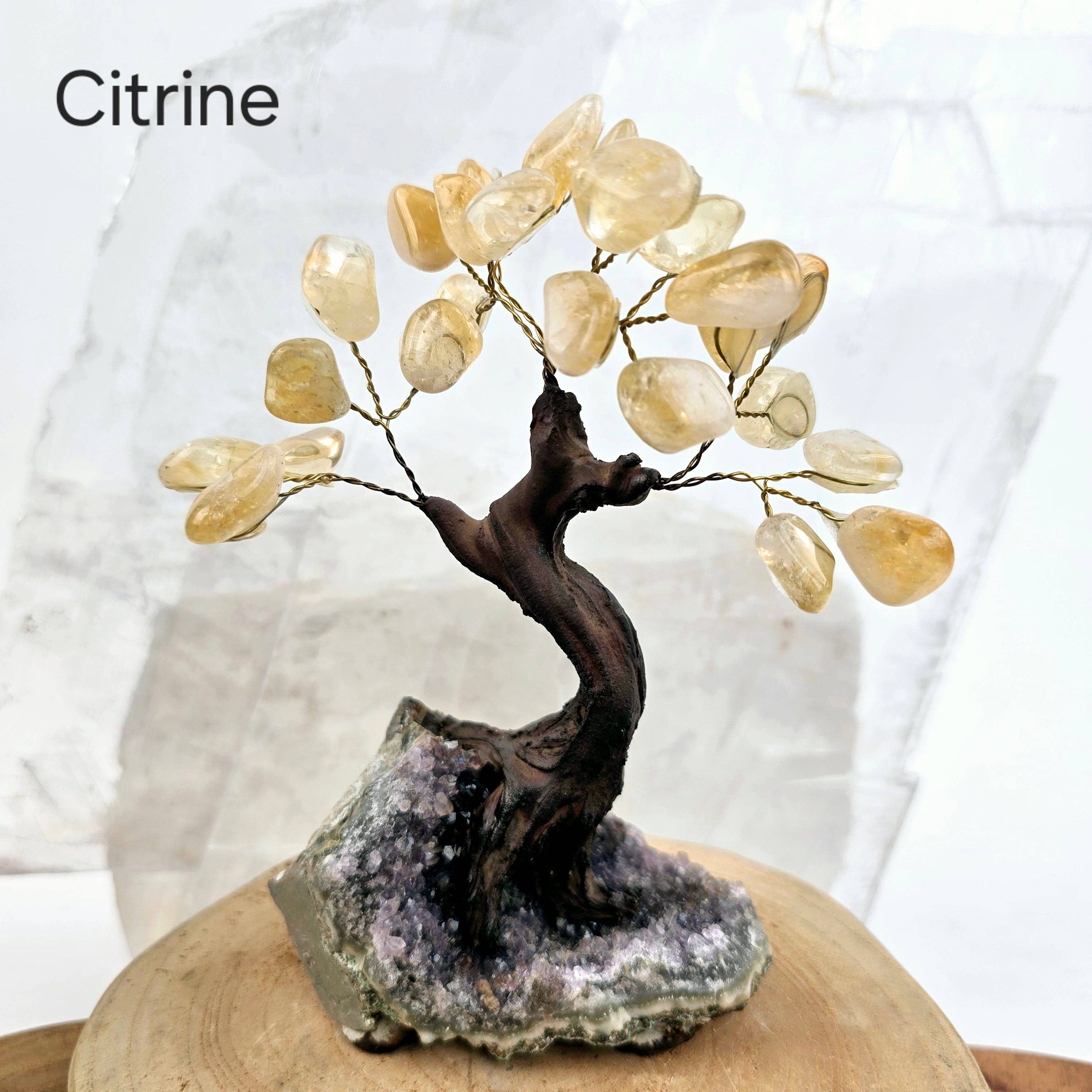 Rock Paradise - Wholesale Spiritual Stone/Crystal - Tumbled Gemstone Tree with Amethyst Crystal Base5