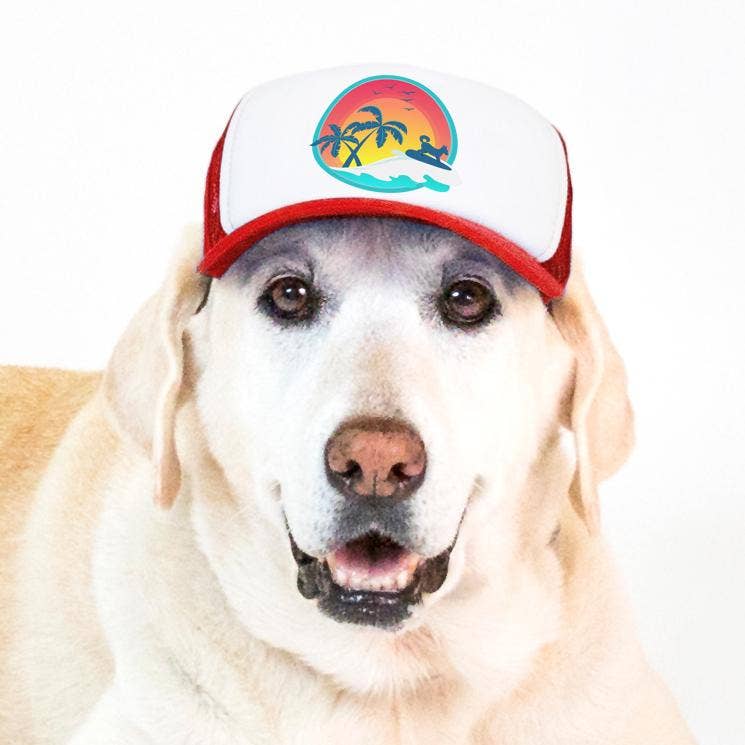 PupLid - Wholesale Pet Hat - Dog - Surfer Dog Standard or Namedrop | Trucker Hat for Dogs23