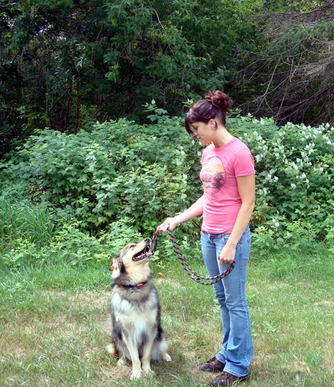 SOFT LINES - Vente Laisse – chien - Laisses pour chiens mains libres pour le jogging et l'entraînement3