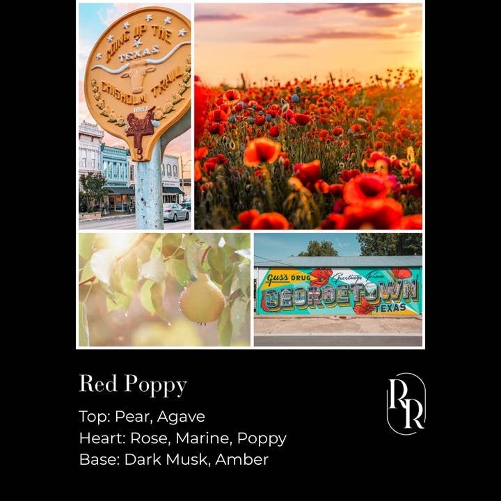 Rust & Rose | Luxury Non-Toxic Candles - Wholesale Jar/Filled Candle - Red Poppy Soy Wax Candle, Wildflowers, Floral, Gifts for Her6