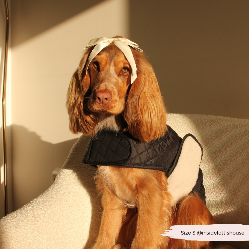 Cocopup London - Vente Manteau – chien - Manteau matelassé LUXE pour chien - Midnight Black11