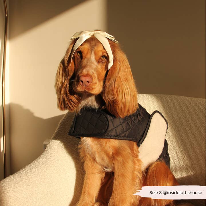 Cocopup London - Vente Manteau – chien - Manteau matelassé LUXE pour chien - Midnight Black11