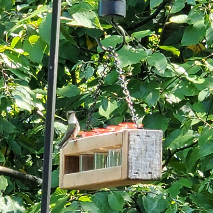Flying Heart Threads - Wholesale Bird Feeder - Authentic Barnwood Hummingbird Feeder hanging or for window 3