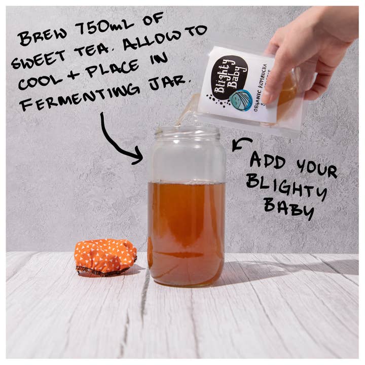 Blighty Booch Kombucha – Engroshandel DIY-drikkekit – Blighty Baby Kombucha Starter Fuldt sæt - Unik gave