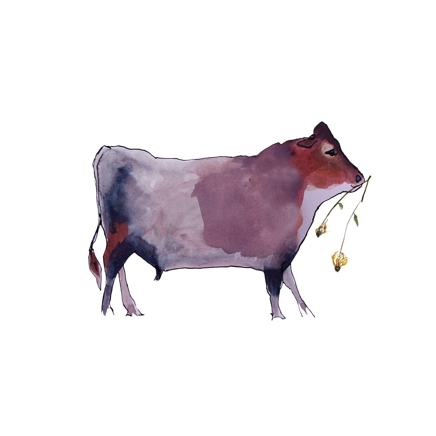 Brienne Cosman Design – Engroshandel Hverdagshilsen kort – Cow Blomsterkort1