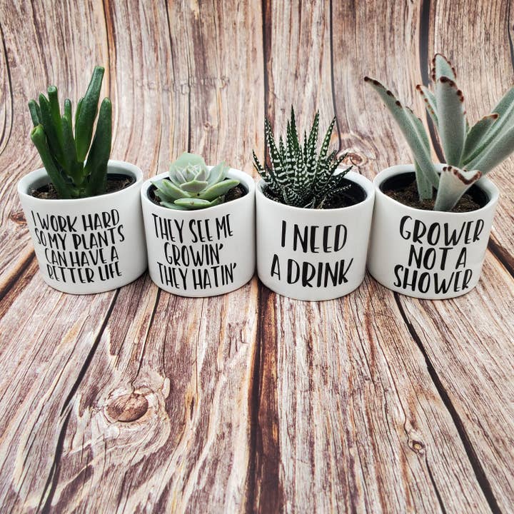 Punny Plant Pots for wholesale by Blooms n rooms