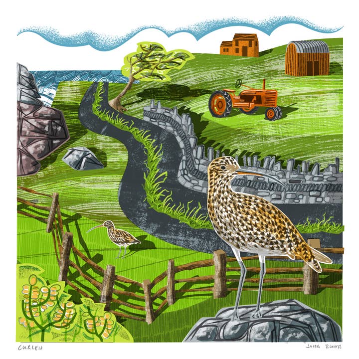 John Bloor Printmaker - Wholesale Art Print - Curlew digitally printed print, British coastal bird1
