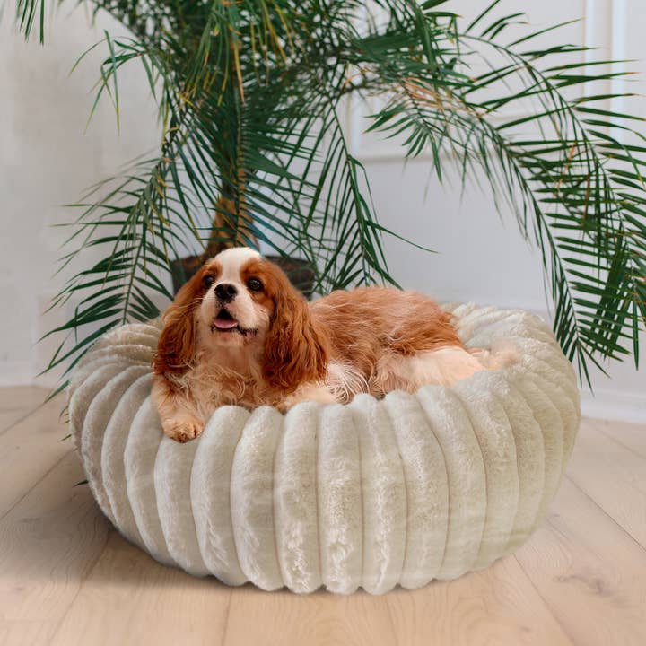 Precious Tails - Wholesale Pet Bed - Cat/Dog - ELLE Décor Round Wide Wale Pet Cuddler Bed for dogs & cats