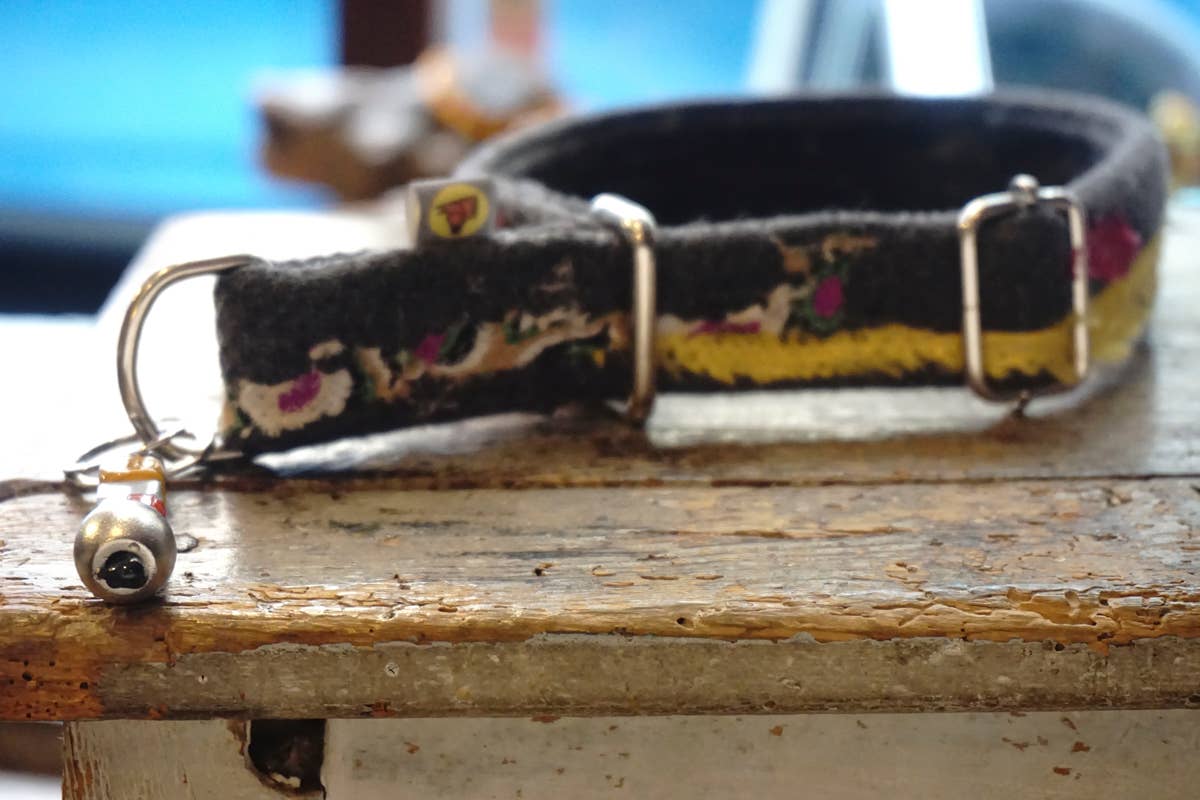 hundsfutter - Wholesale Pet Collar - Dog - necklace17