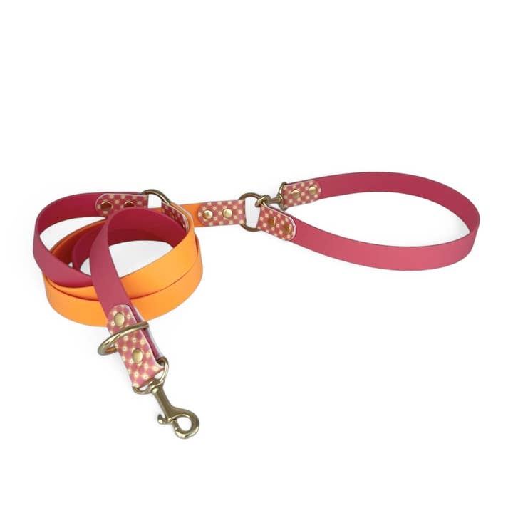 Splash By Happy - Wholesale Pet Collar - Dog - 🌼 Happy Flower 🌼18