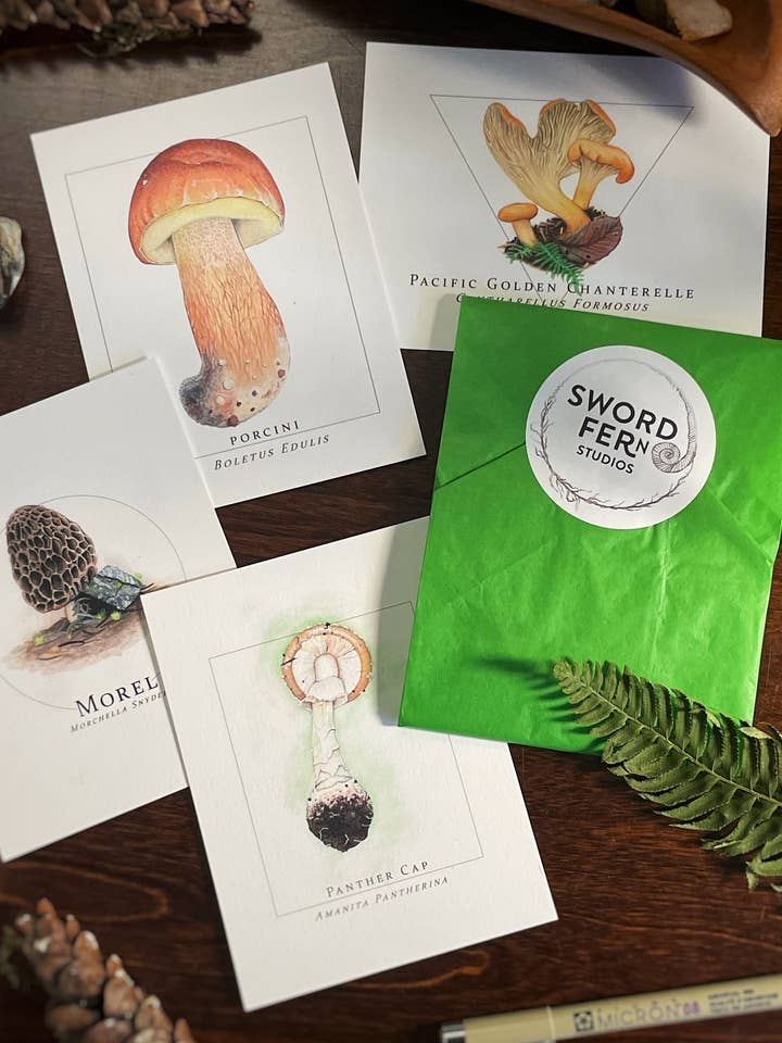 4 Pack Mushroom Graphic Illustration Postcards for wholesale by Sword Fern Studios
