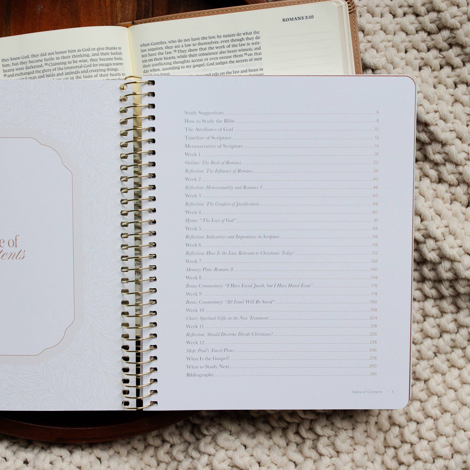 The Daily Grace Co - Vente Livre sur la religion - En Christ Seul : Une Étude sur le Livre des Romains2