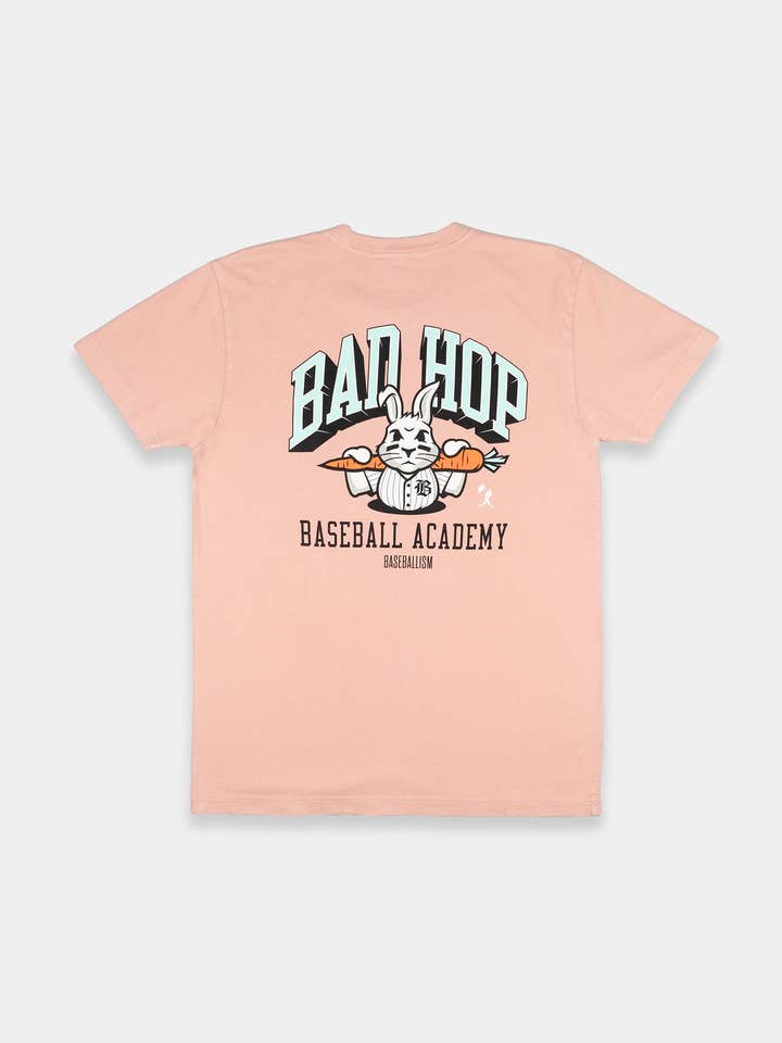 T-shirt Bad Hop Baseball Academy - rose délavé pour la vente par Baseballism
