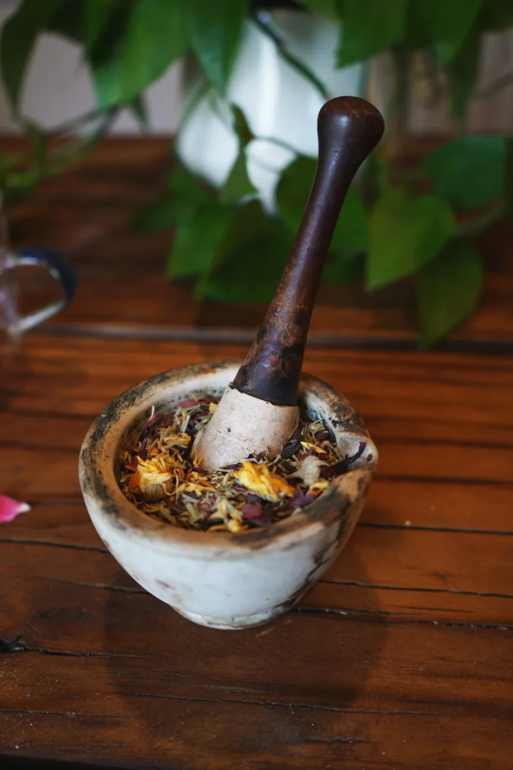 The Medicinal Melange – Großhandel Gesundheits-/Entgiftungstee – Aphrodite-Tee (Kollagen-Boost, Knochengesundheit, Keratin-Boost)1