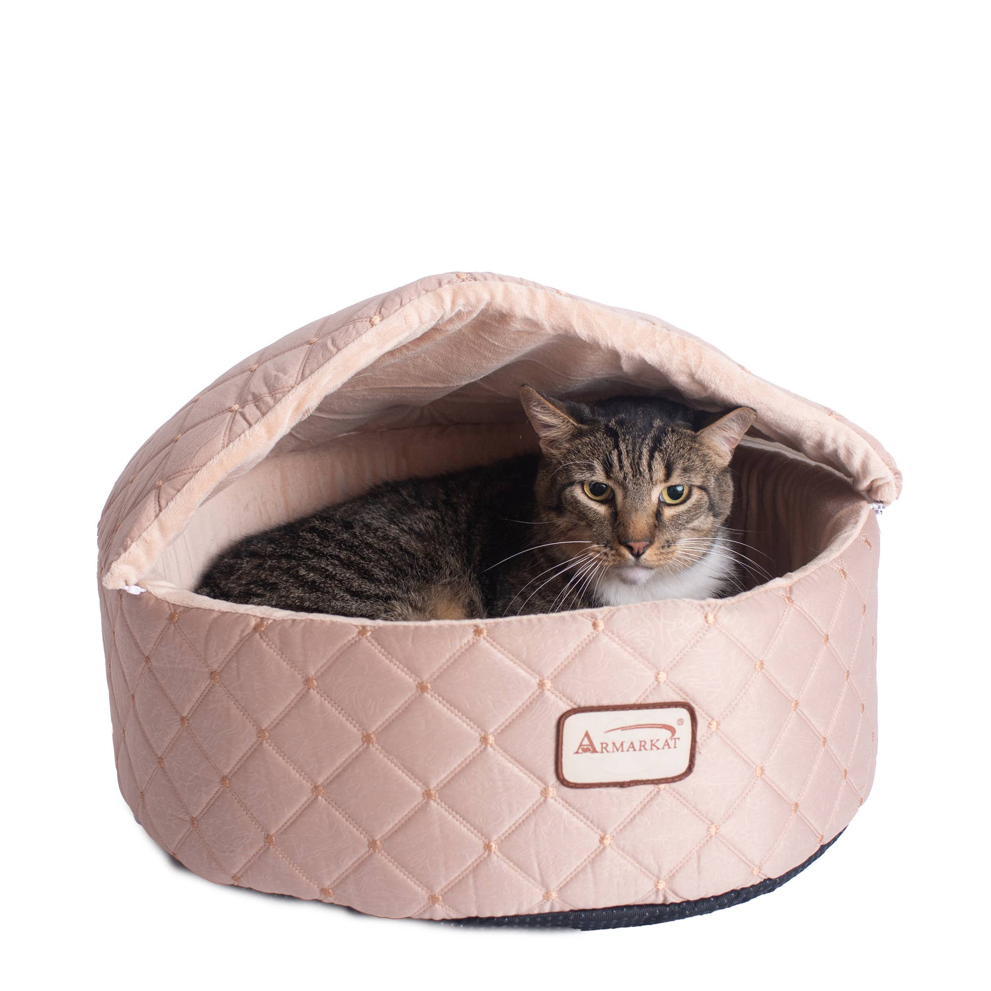 cat basket footwear