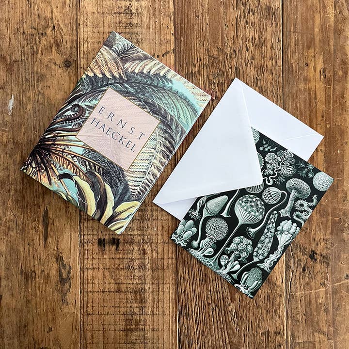 Koustrupco - Wholesale Stationery/Notecard Set - Ernst Haeckel cardfolder w/ 8 cards and envelopes2