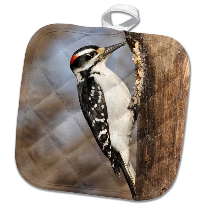 3dRose, Pica-pau-peludo, Pensilvânia, EUA, Pegador de panelas por atacado de 3dRose